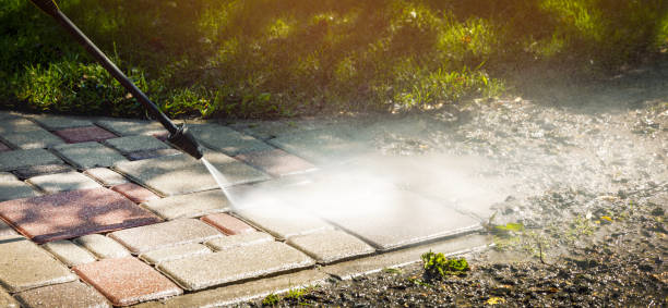 Best Roof Washing  in Ross, CA