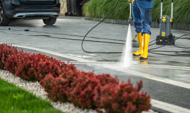 Best Sidewalk and Walkway Cleaning  in Ross, CA